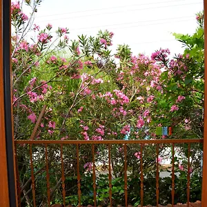  Villa Poseidon Turkije