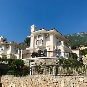 https://artemisia-villa.aegeanhotels.net